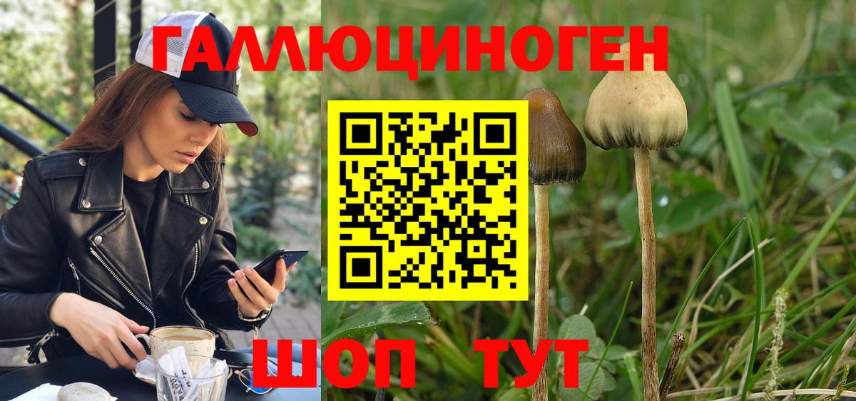 Галлюциногенные грибы мицелий Волжск
